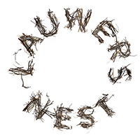 schriever-LAUWERSNEST-logo